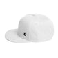 2RST Small Logo Snapback Hat