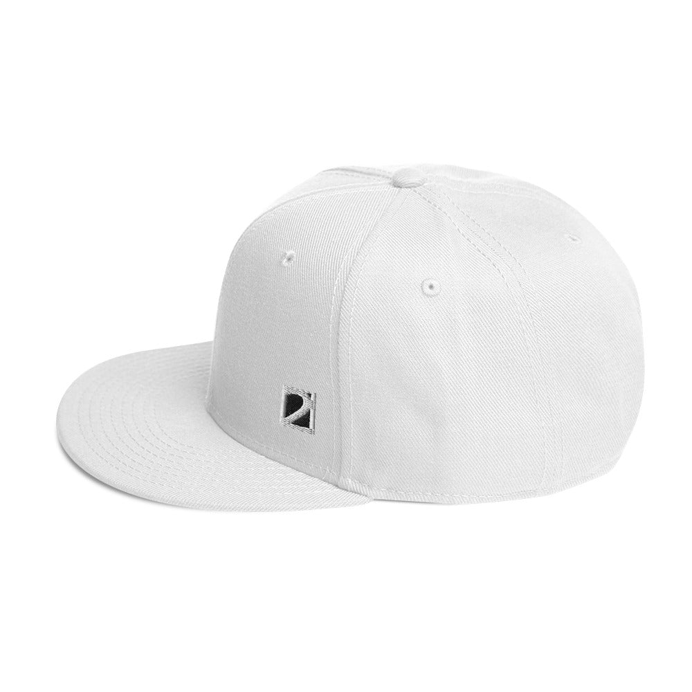 2RST Small Logo Snapback Hat