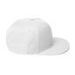 2RST Small Logo Snapback Hat